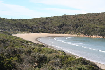 picnic bay at wilsons promontory national park, victoria, australia