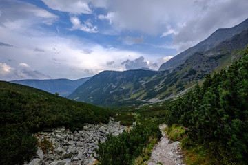 Obraz premium hiking trail in tatra mountains in Slovakia