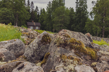 Fototapeta na wymiar Koli Nationalpark Finnland