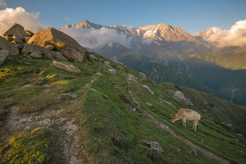Fototapeta premium calmness in the mountains