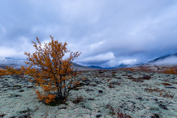 Autumn in rondane national park
