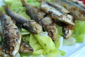 Typical Ibiza food: grilled sardines on a bed of salad (selective focus)
