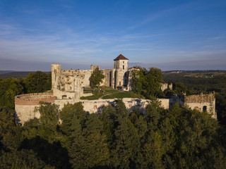 Fototapeta na wymiar ruins of the Tenczyn castle, Poland