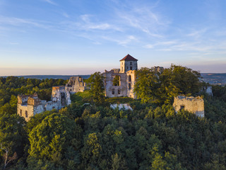 Naklejka premium ruins of the Tenczyn castle, Poland