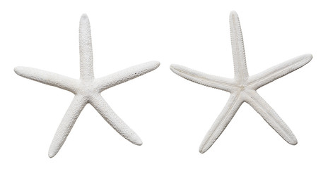 Front and back of starfish, sea star isolated on white background including clipping path