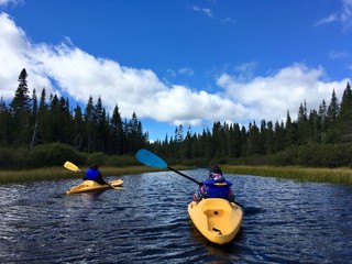 kayak
