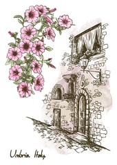 drawing of an old street in Italy and flowers