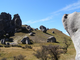 Naklejka premium OLYMPUS DIGITAL CAMERA