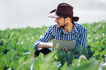 farmer man agronomist sun worker check digital tablet computer plantation technology hat sprinkler system water