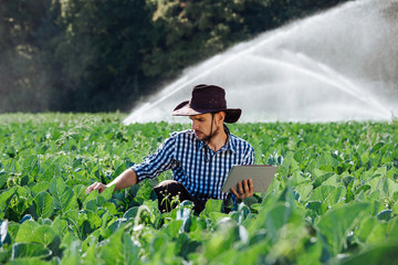 farmer man agronomist sun worker check digital tablet computer plantation technology hat sprinkler system water