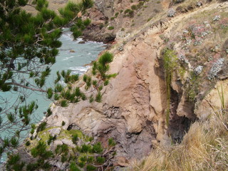 Obraz premium OLYMPUS DIGITAL CAMERA