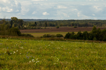 plowed field on a warm autumn day