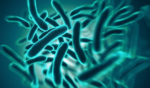 3D rendering Bacteria closeup