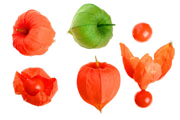 physalis isolated on white background. Top view. Flat lay pattern. Set or collection