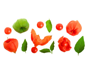 physalis with leaves isolated on white background with copy space for your text. Top view. Flat lay pattern