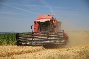 Fototapeta premium Mähdrescher bei der Ernte 