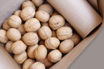 beautiful walnuts for autumn background