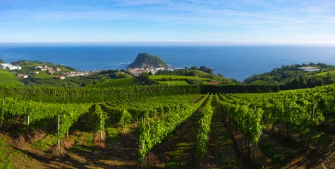 Foto auf Acrylglas Vineyards and wine production with the Cantabrian sea in the background, Getaria Spain © poliki