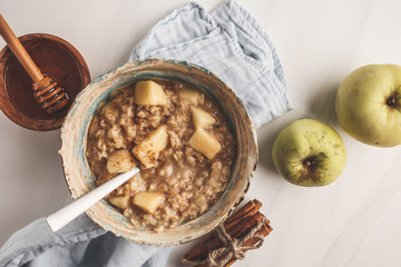 Apple oatmeal with cinnamon and honey. White background, top view.