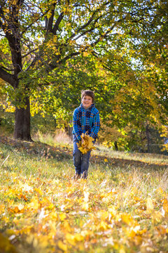 Smiling boy throwing autumn leaves on park