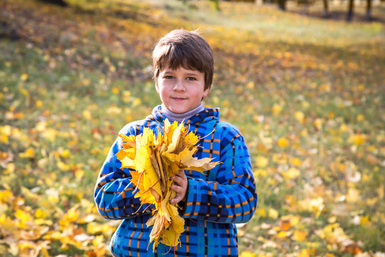 Young boy on park with yellow leaves