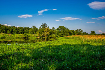 Fototapeta na wymiar field with tree and the reflection in river - HDR