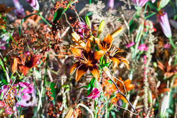 Indoor floral arrangement at the Alden Biesen Castle, Hasselt, Belgium