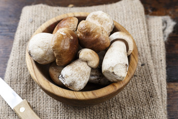 mushrooms boletus on the table