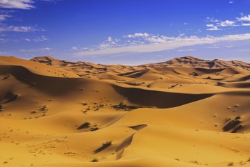 Fototapeta na wymiar Distant Landscape View of Sahara Desert Sand Dunes near Merzouga, Morocco Africa