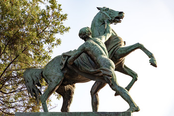 Fototapeta premium Bronze Horses in Naples, Italy
