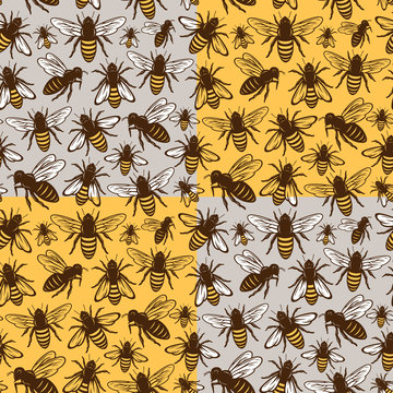 Vector honey bee seamless pattern or background