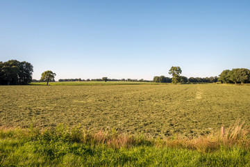 Sunset at a typical Dutch farm landscape in the summer month of July. This landscape is near the small city of Delden in a region called Twente, located in the province of Overijssel 