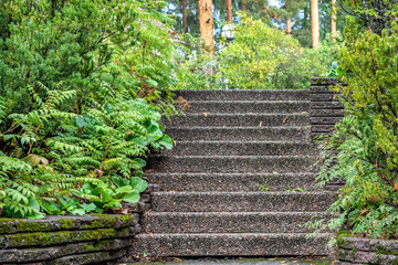 Steps in the greenery.