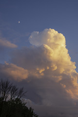 Cloud Dog Viewing the Moon