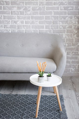  Interior. Scandinavian style. Sofa and table with house vetas. Gray shades in the design. Designer mat