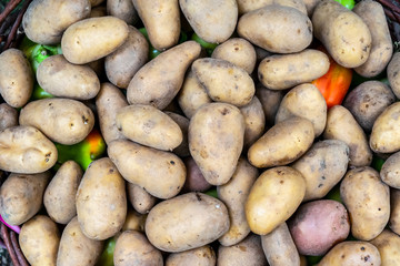 Young potatoes in a basket. Potato tubers.