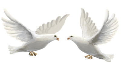 Love Doves