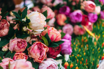 Lot of peonies, close up.