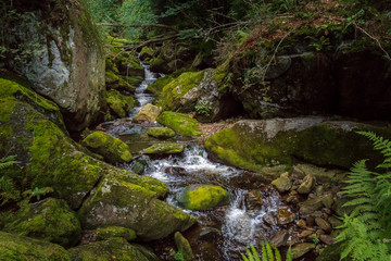 Steinklamm 2018-1   Wasserfall und Bachlauf in der Steinklamm bei Spiegelau im bayerischen Wald.