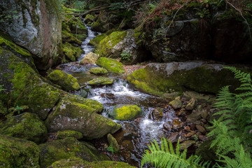 Steinklamm 2018-2   Wasserfall und Bachlauf in der Steinklamm bei Spiegelau im bayerischen Wald.