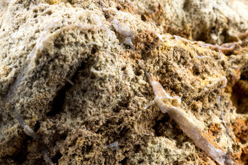 Marble stone texture macro close up background, crystals and minerals, rock texture