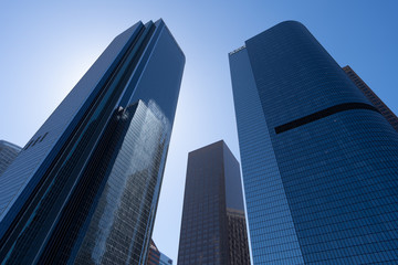 Highrises in Downtown LA 10