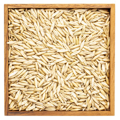 oat groats background in box