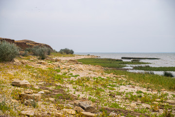 Fototapeta na wymiar Sea coast in autumn season. Stones on a beach
