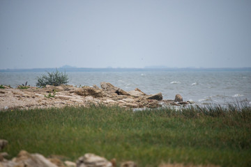 Sea coast in autumn season. Stones on a beach