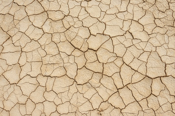 Wüstenboden - Trockenheit - Dürre - obrazy, fototapety, plakaty