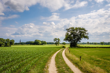 Fototapeta na wymiar It is a cloudy day and rain isn't far away on this summer day in June on the so-called 'Deldener Es' near the small city of Delden in a region called Twente in the province of Overijssel 