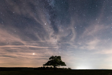 Ein einsamer Baum und die Milchstraße mit Sternenhimmel
