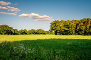 Sunset at a typical Dutch farm landscape in the summer month of June. This landscape is near the small city of Delden in a region called Twente, located in the province of Overijssel