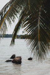 Bocas del toro start fish island